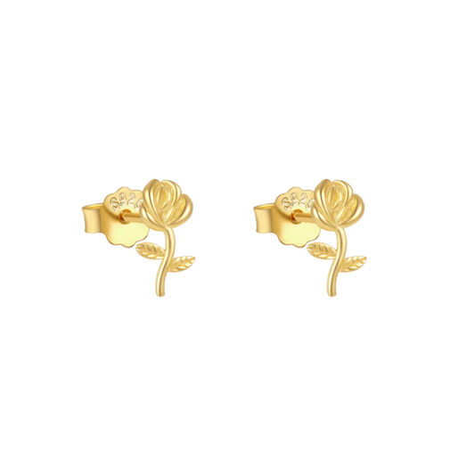 Clous d'oreilles en or rose: Goud - DupontDupont