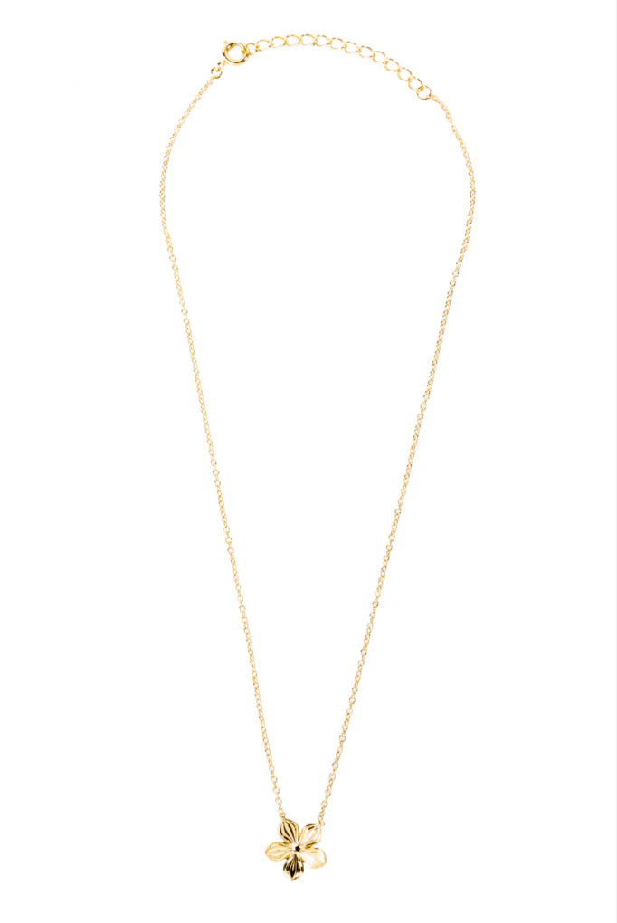 Ras de cou fleur - DupontDupont