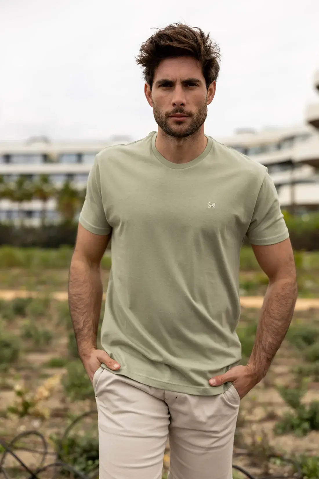 T-shirt basique olive: Olive / L