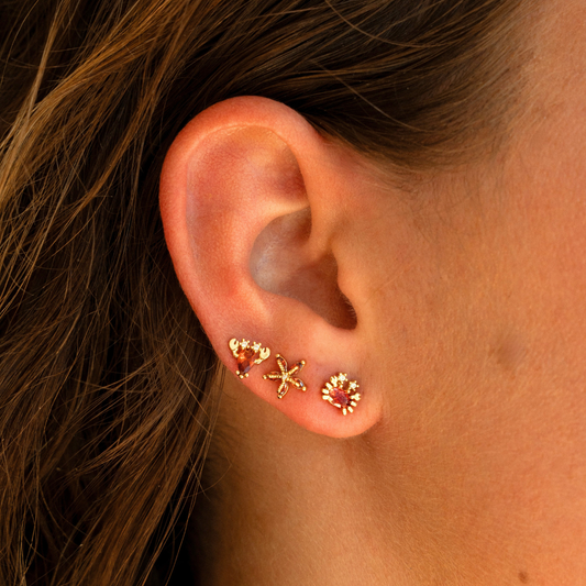 Boucles d’oreilles étoile de mer brillante: Rouge / Doré - DupontDupont