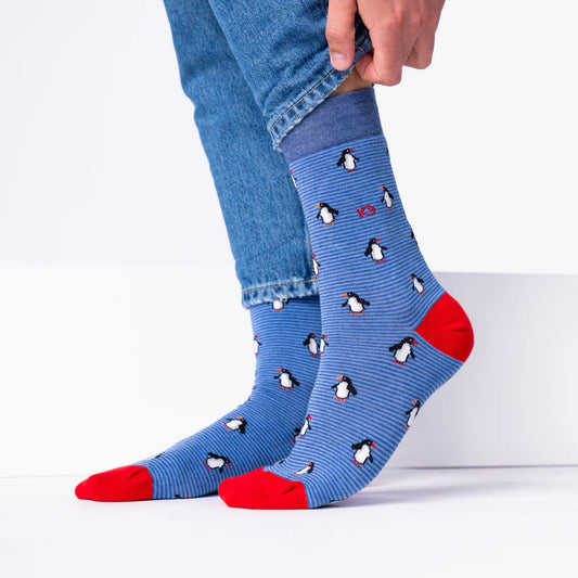Chaussettes Homme - Pingouin