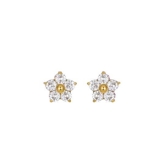 Clous d'oreilles fleur en cristal blanc