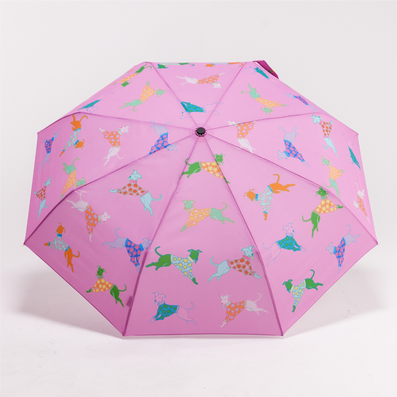 Parapluies tête de canard avec motif chiens, bleu et rose