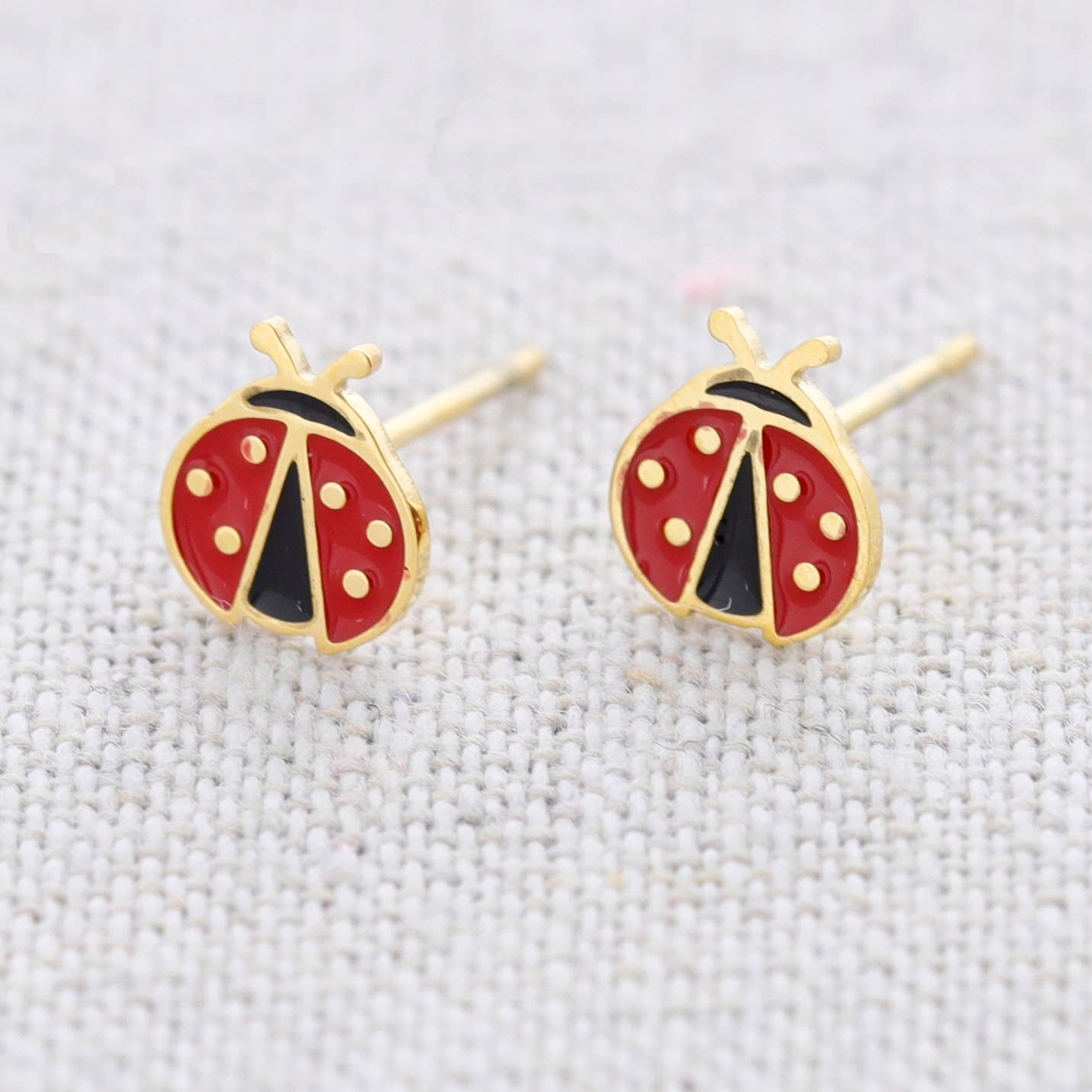 Puces coccinelle
