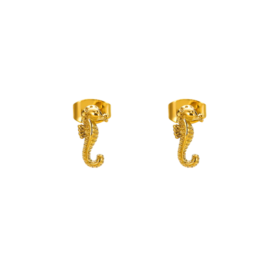 Clous d'oreille hippocampe: Doré - DupontDupont