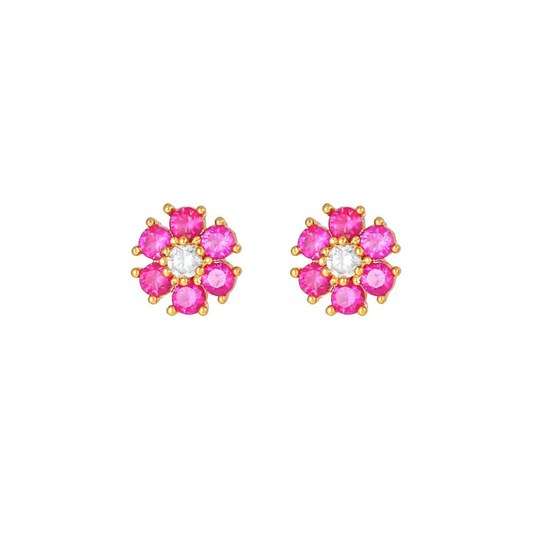 Puces fleurs - DupontDupont