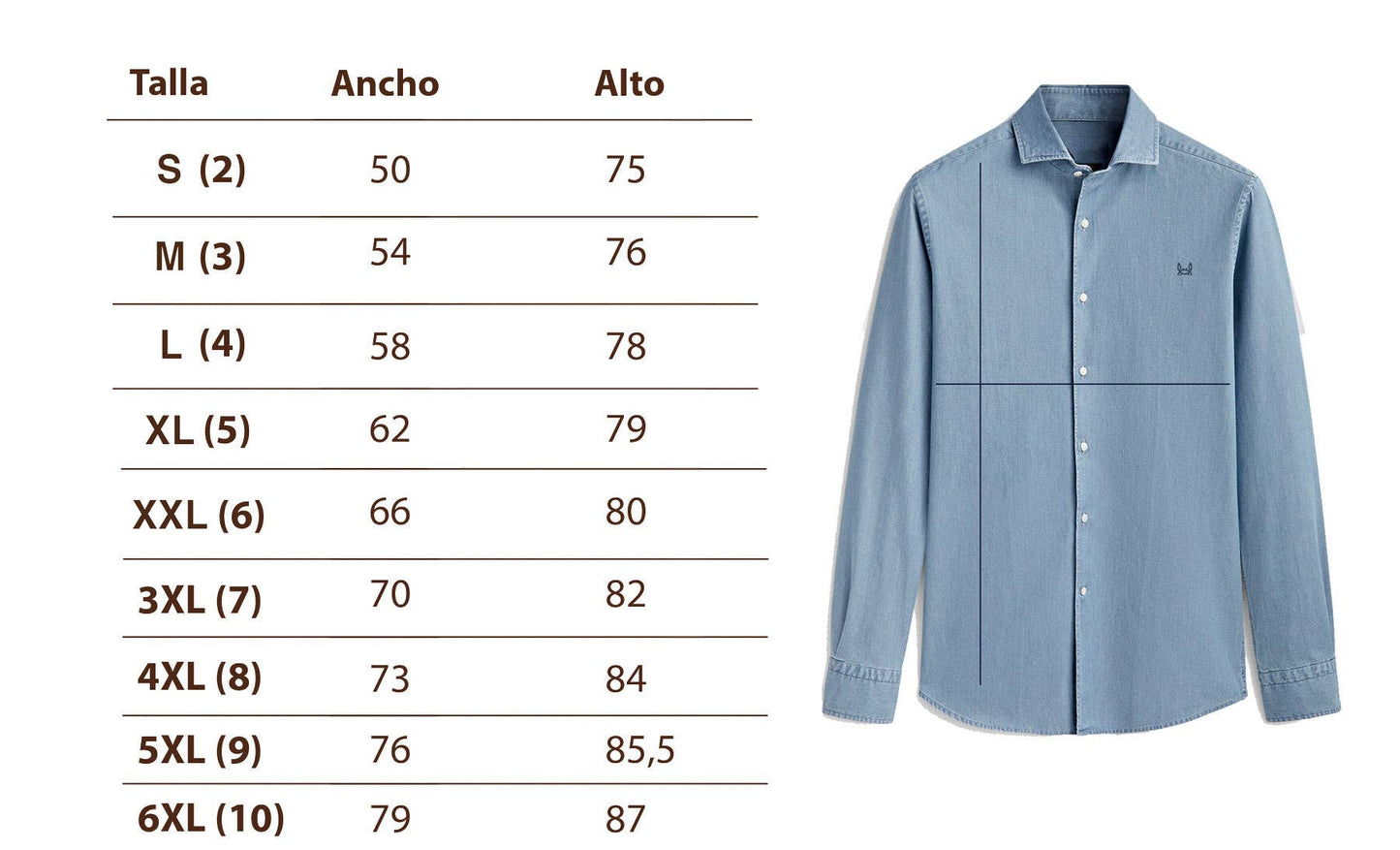 Chemise Oxford Devin | Úbeda: L (4)