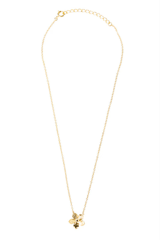 Ras de cou fleur - DupontDupont