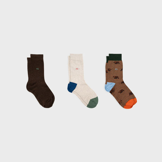 Coffret chaussettes Homme - Bear