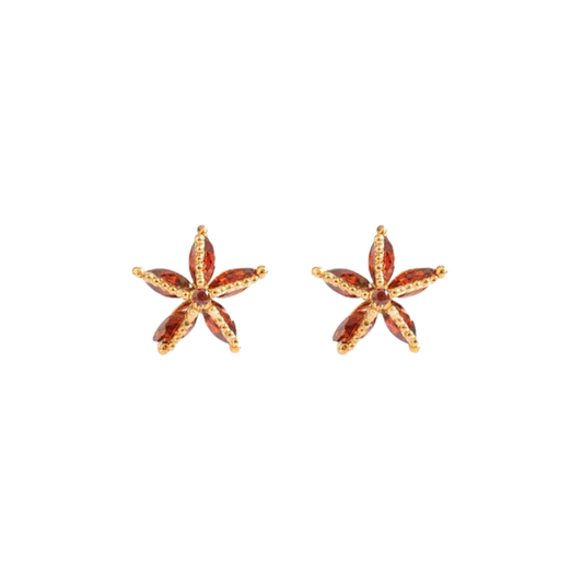 Boucles d’oreilles étoile de mer brillante: Rouge / Doré - DupontDupont