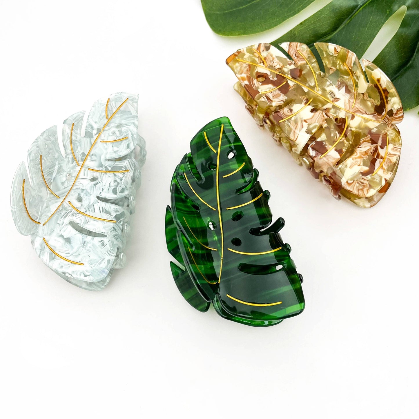 Pince à cheveux feuille monstera