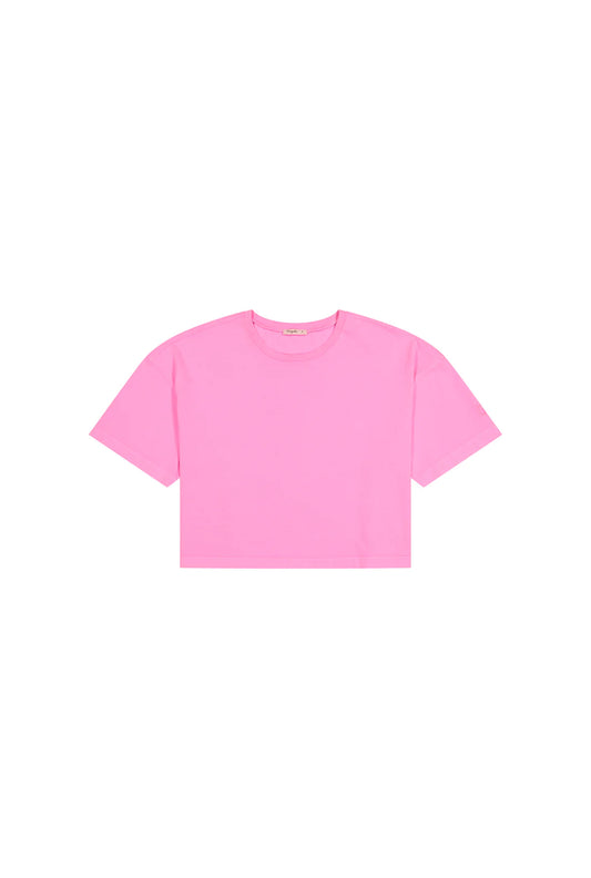 Tee shirt Rose flash - DupontDupont