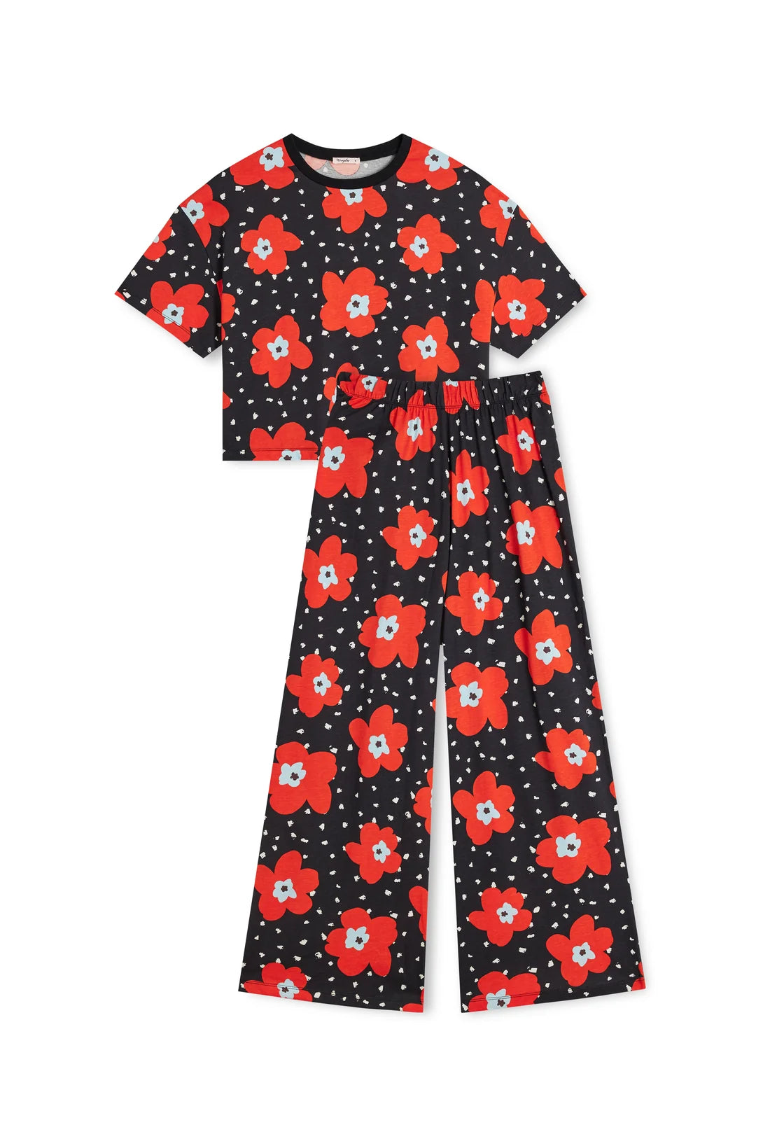 Ensemble long Atlas