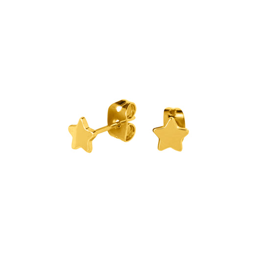 Puces étoile
