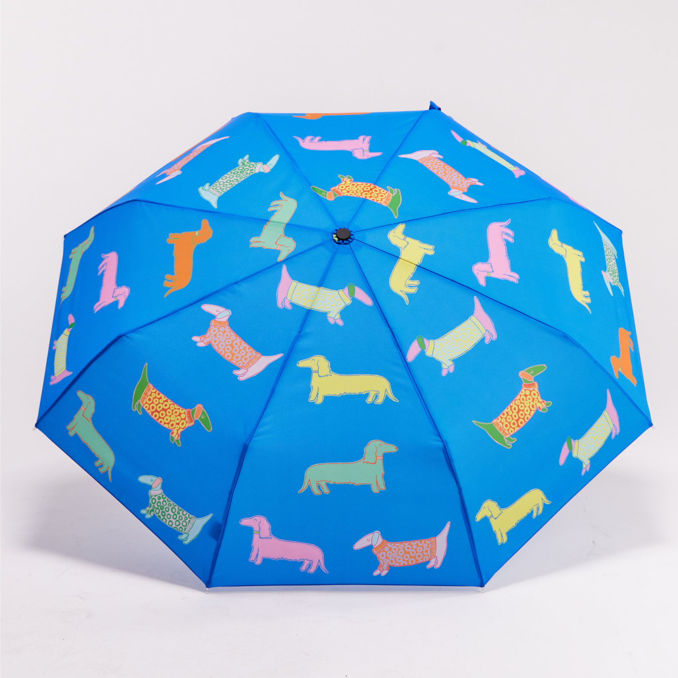 Parapluies tête de canard avec motif chiens, bleu et rose