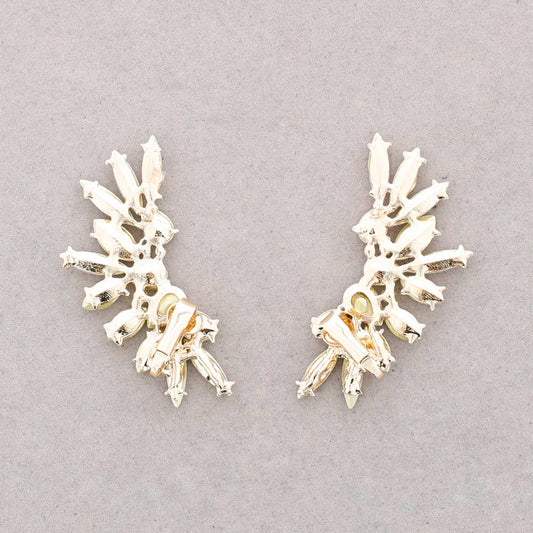 Boucles d'oreilles ailes en cristal: Vert