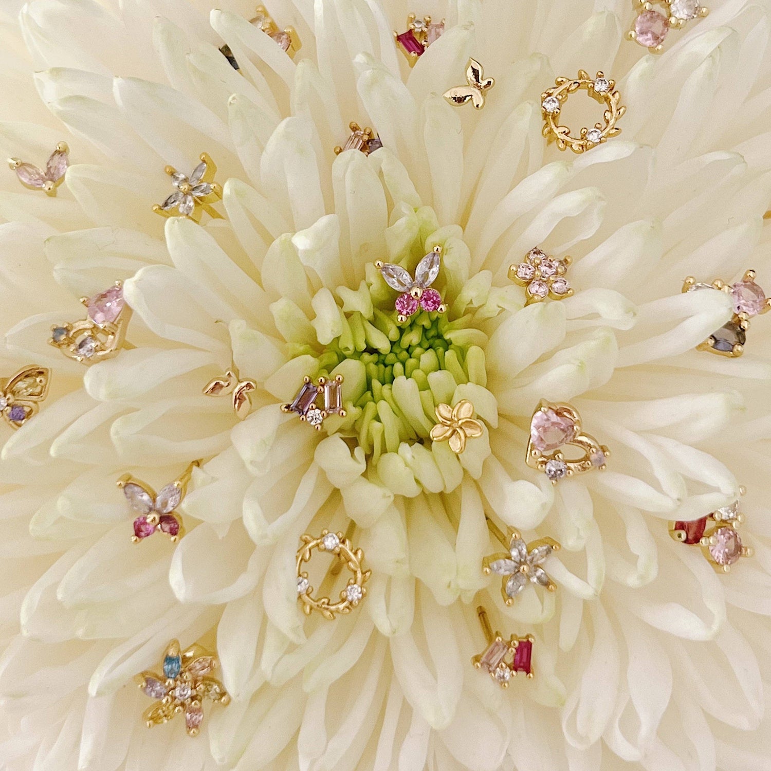 Petites puces florales: Goud - DupontDupont