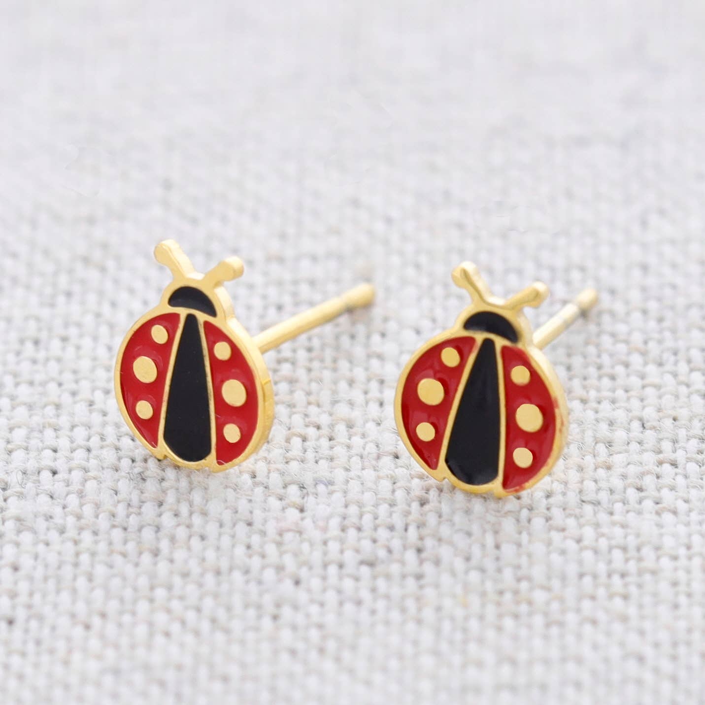 Puces coccinelle