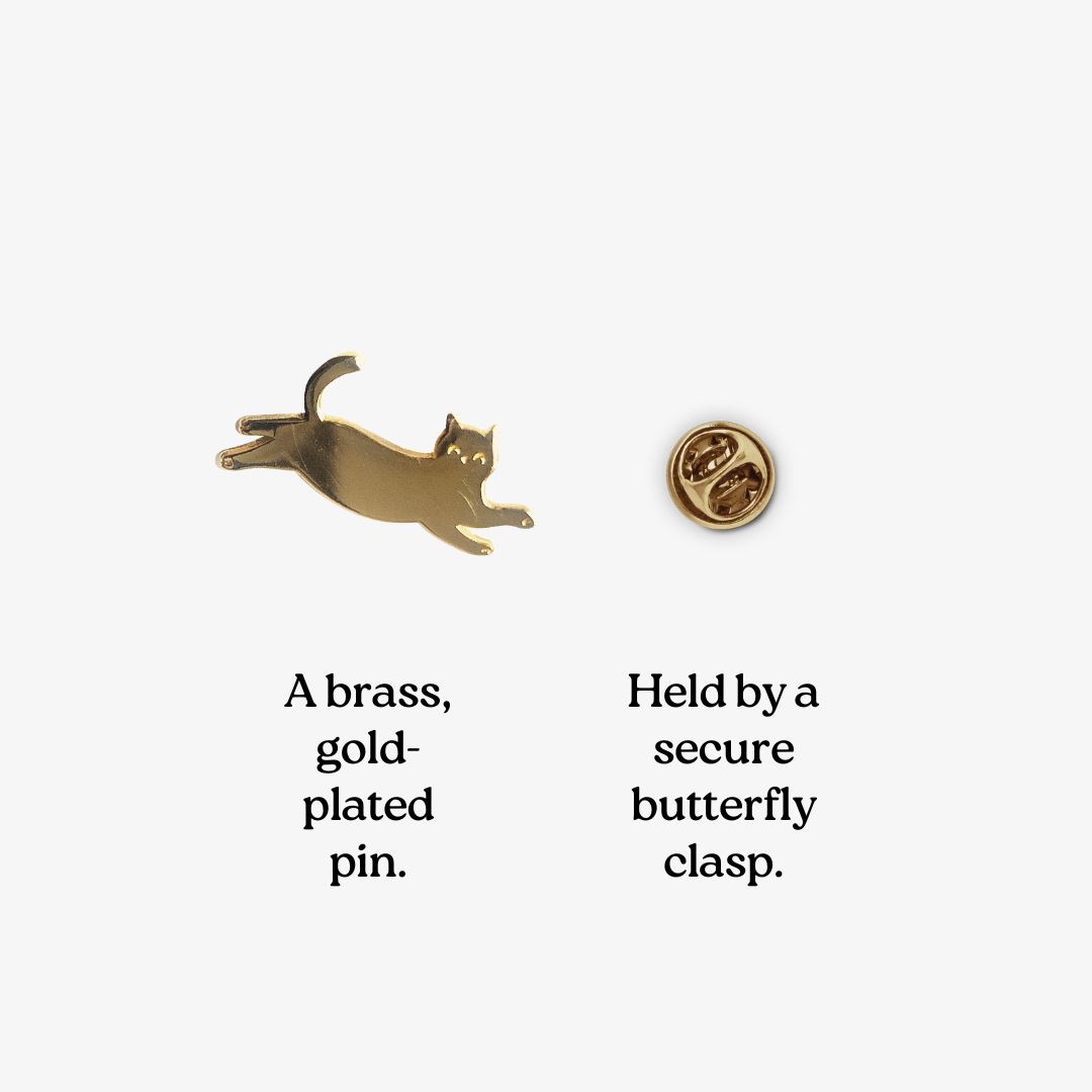 Pin’s Chat - DupontDupont