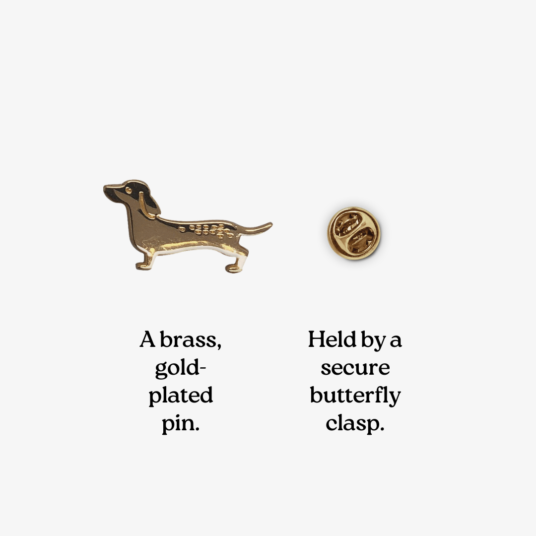 Pin’s Chien - DupontDupont