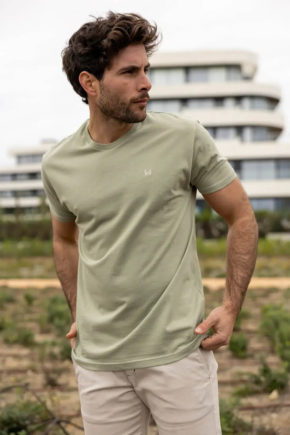 T-shirt basique olive: Olive / L
