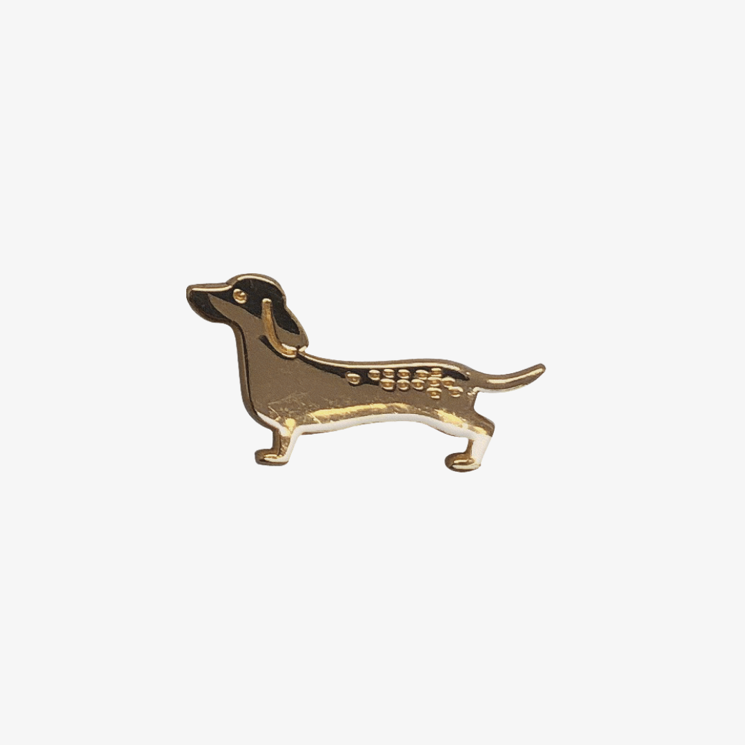 Pin’s Chien - DupontDupont