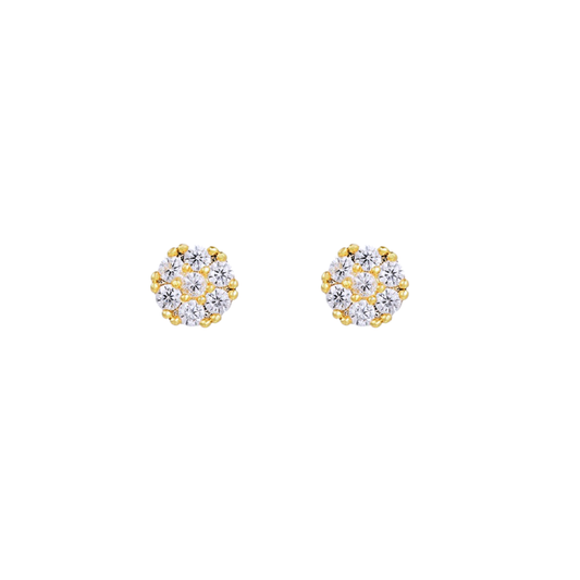 Puces cercle brillant