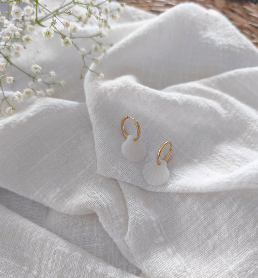 Mini créole coquillage