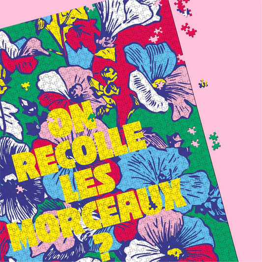 Puzzle On recolle les morceaux - DupontDupont